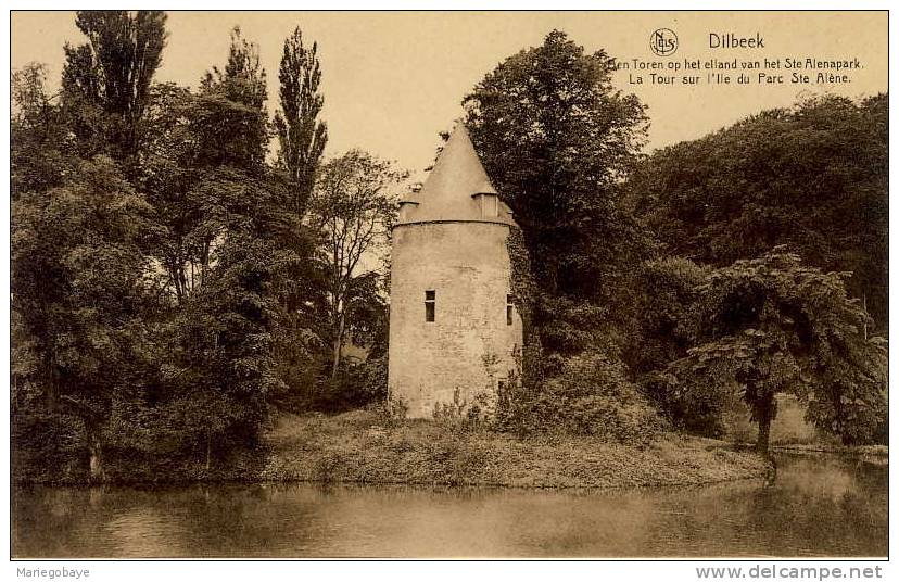 1 CP Non Circulé DILBEEK Nels  Kerk église Toren Ste Alenapark Tour Parc Ste Alène - Dilbeek