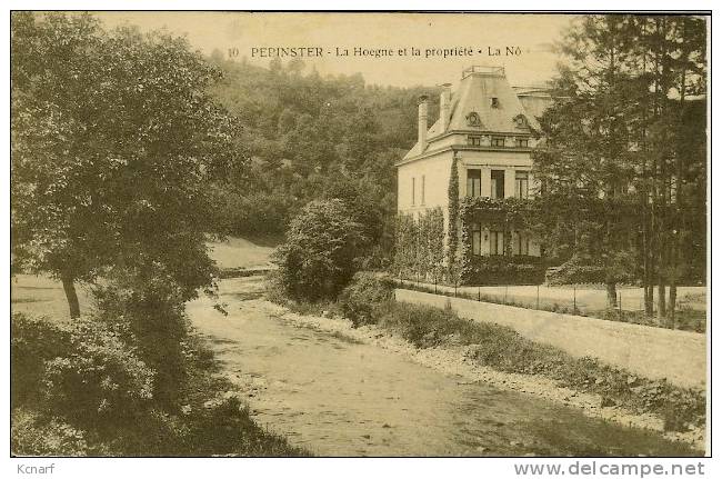 CP De PEPINSTER " La Hoegne Et La Propriété  - LA NÔ " . - Pepinster