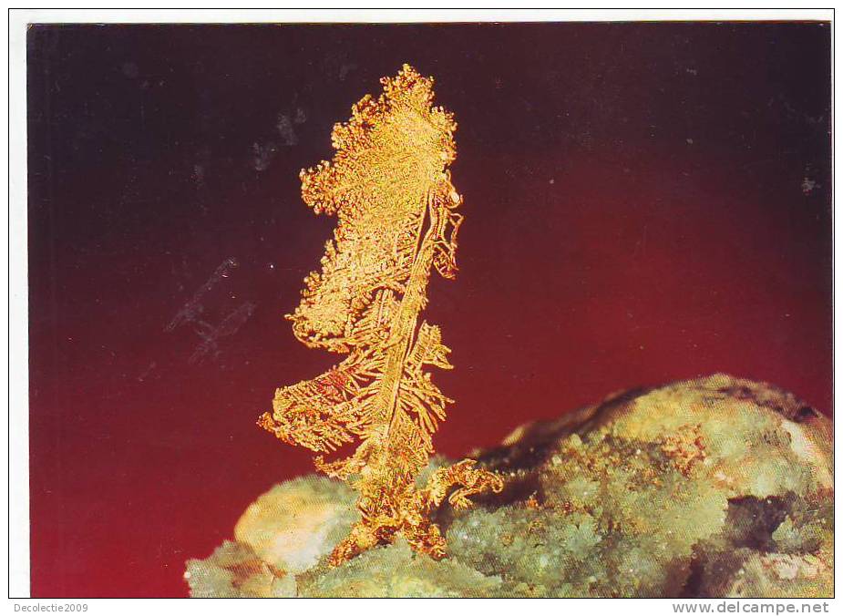 Zs1964 Dendritic Gold On Host Rock Not Used Perfect Shape - Altri & Non Classificati