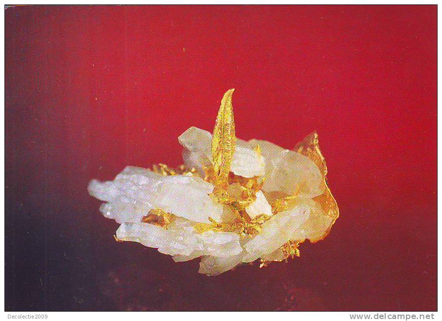 Zs1970 Gold Crystals On Quartz Matrix Not Used Perfect Shape - Altri & Non Classificati
