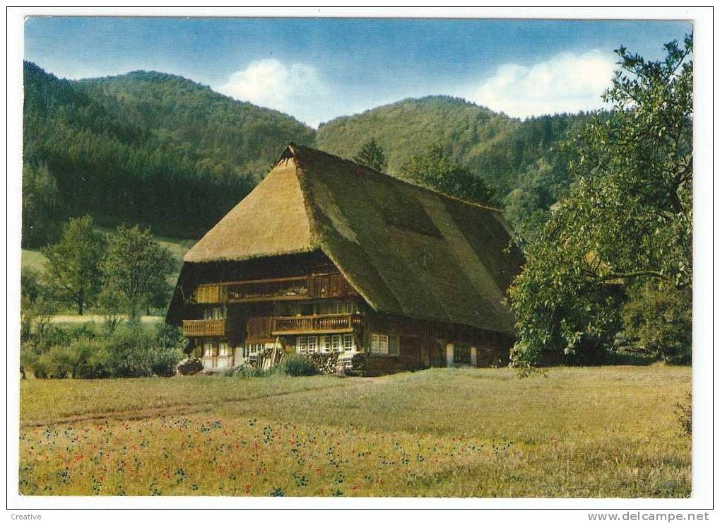 Schwarzwalder Bauernhaus (écrit) - Hochschwarzwald