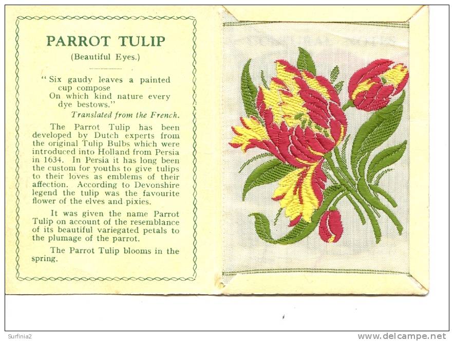 CIGARETTE CARDS - WIX - KENSITAS SILK FLOWERS - LARGE SIZE - PARROT TULIP 1934 - Other Brands