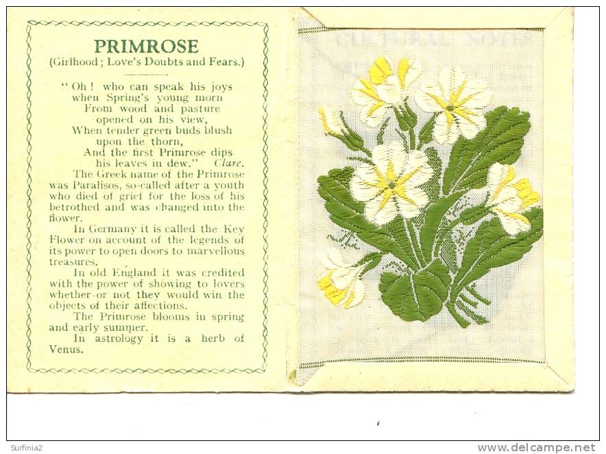 CIGARETTE CARDS - WIX - KENSITAS SILK FLOWERS - LARGE SIZE - PRIMROSE 1934 - Other Brands