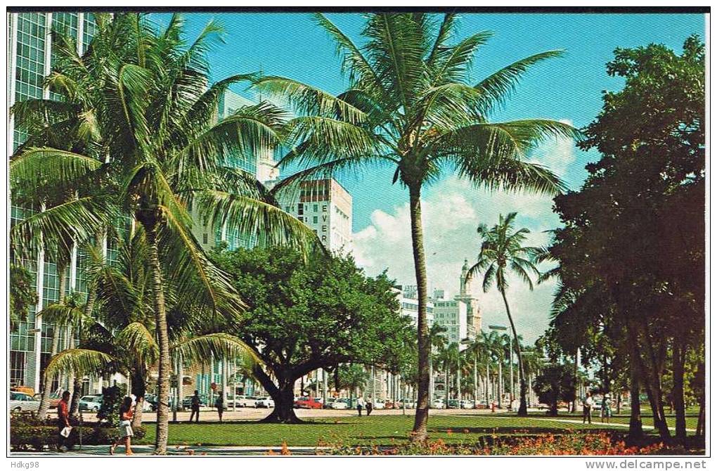 USFlorida+ Miami Biscayne Boulevard - Miami
