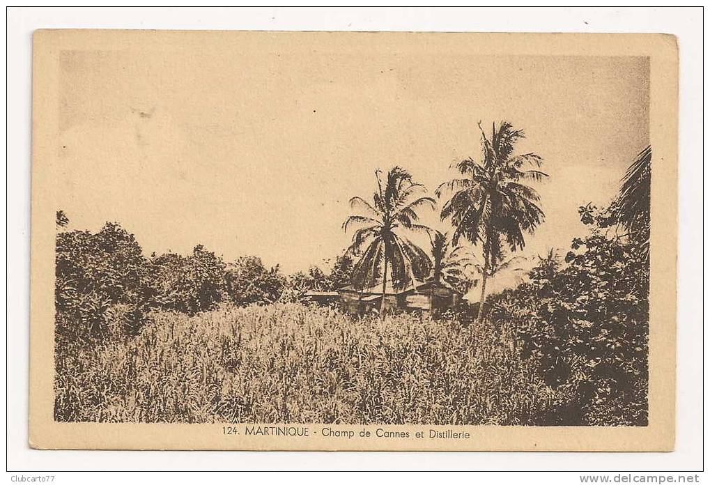 Martinique : Distillerie Dans Champ De Cannes à Sucre Environ 1930. - Autres & Non Classés