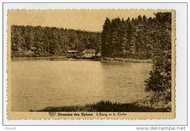 010982  -  Domaine Des Epioux  -  L'Etang Et Le Chalet - Chiny