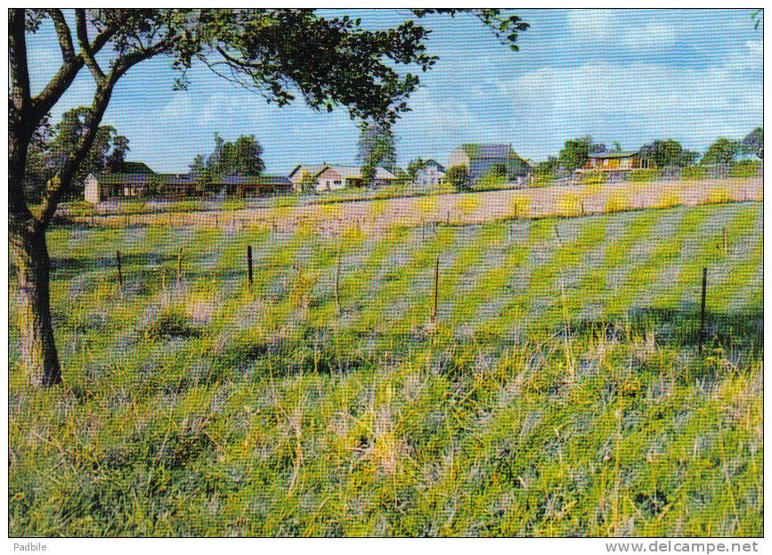 Carte Postale Belgique  Matagne La Petite   Trés Beau Plan - Doische