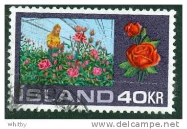 Iceland 1972 40k Hothouse Roses #445 - Oblitérés