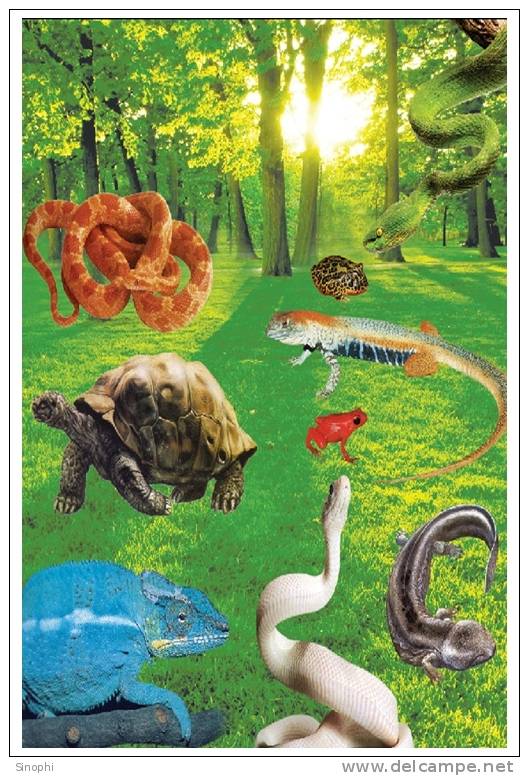 E-10zc/A34^^   Snakes Turtle  , ( Postal Stationery , Articles Postaux ) - Serpents