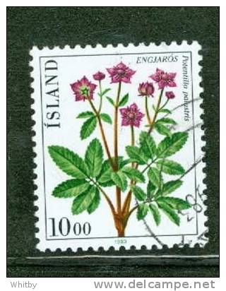Iceland 1983 10k Potentilla Palustris #569 - Used Stamps