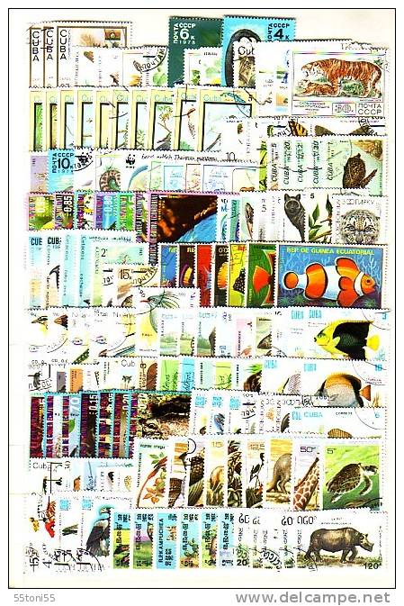 FAUNA -  150 Timbres Commémoratifs Tous Différents – Oblitérés/used (O) - Collections, Lots & Séries