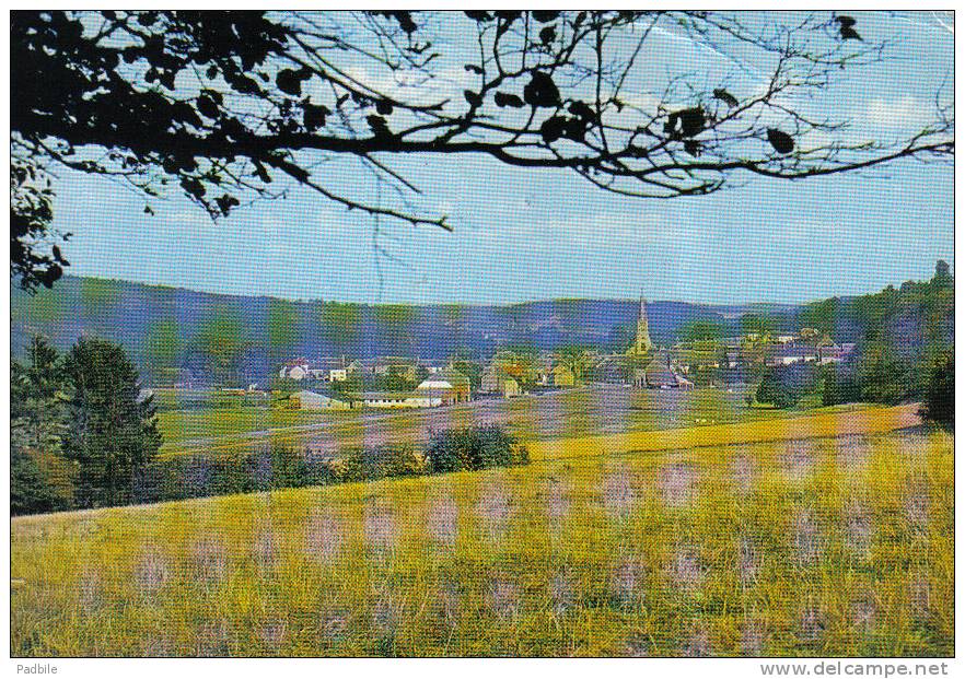 Carte Postale Belgique  Petigny  Trés Beau Plan - Couvin