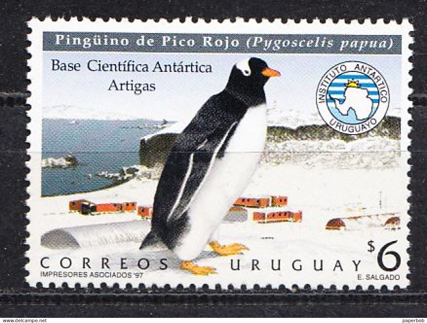 PINGUIN-URUGUAY - Pinguini