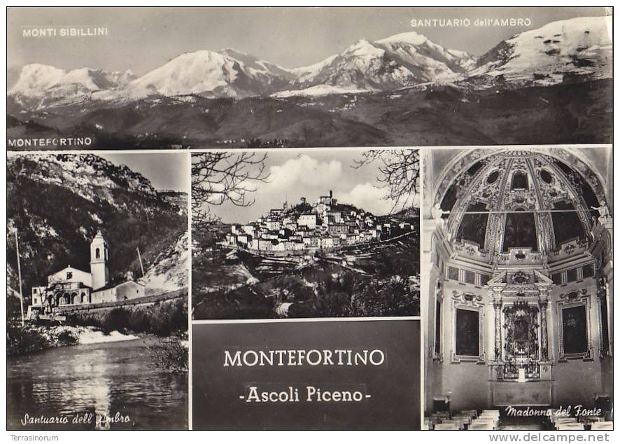 M-0327- MONTEFORTINO - ASCOLI PICENO  - F.G. - VIAGGIATA - Ascoli Piceno