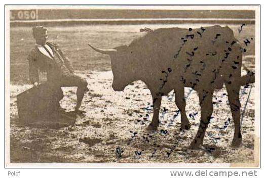 Carte Photo Taureau Et Toreador "belmonte" Avec Dedicace  - (8880) - Bull