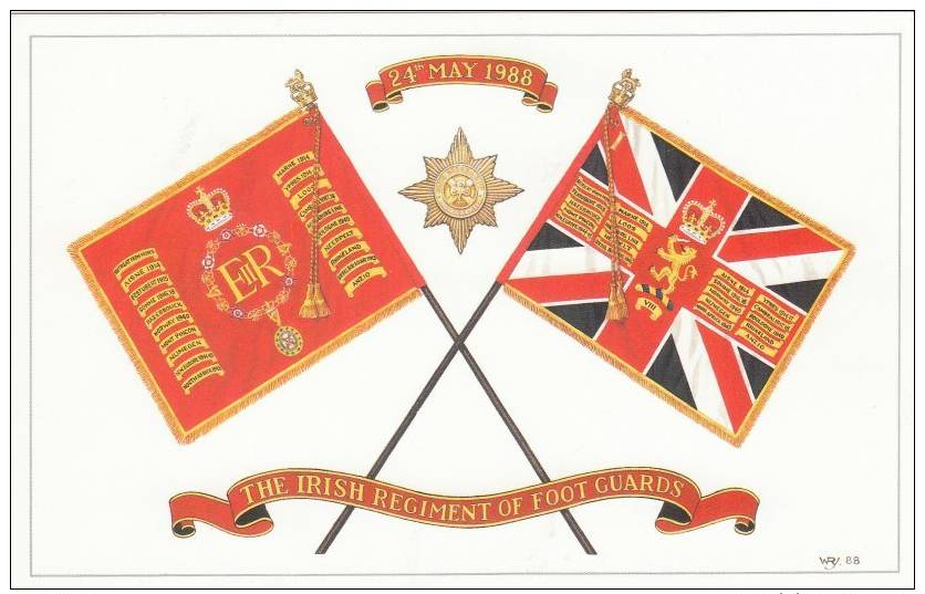 STANDARDS OF THE IRISH GUARDS UNIFORM (U11478) - Regiments