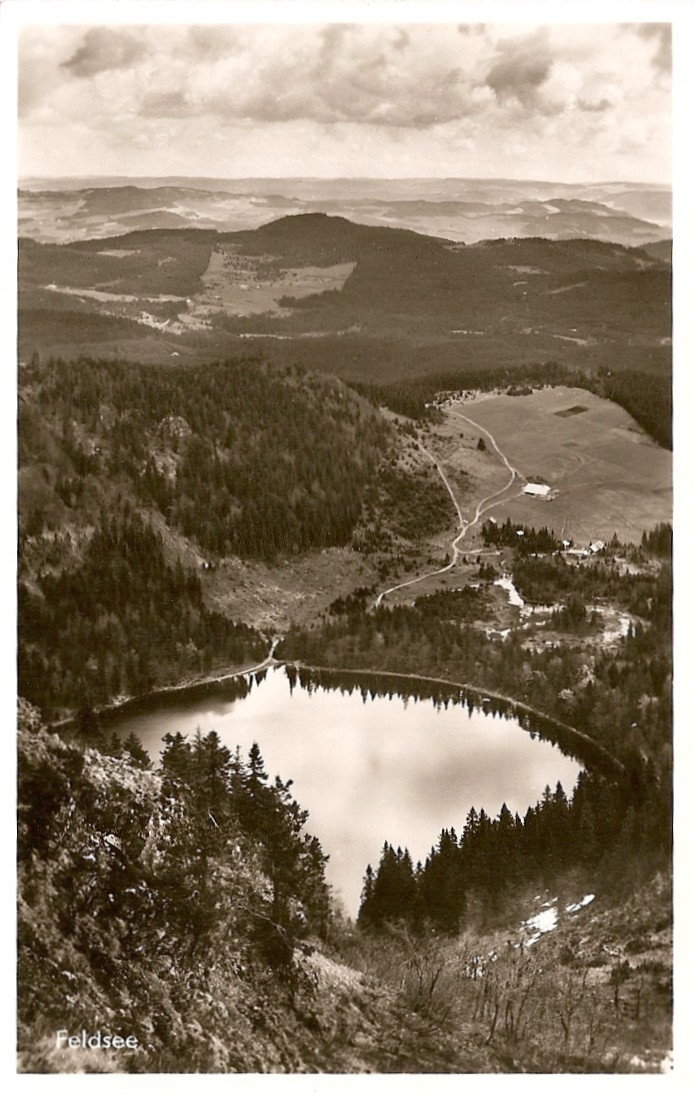 D - BW - Feldberg I. Schwarzwald, 1500 M. ü. M. - Feldsee - Ed. Mayer & Schladerer / GMT (ungelaufen) - Feldberg