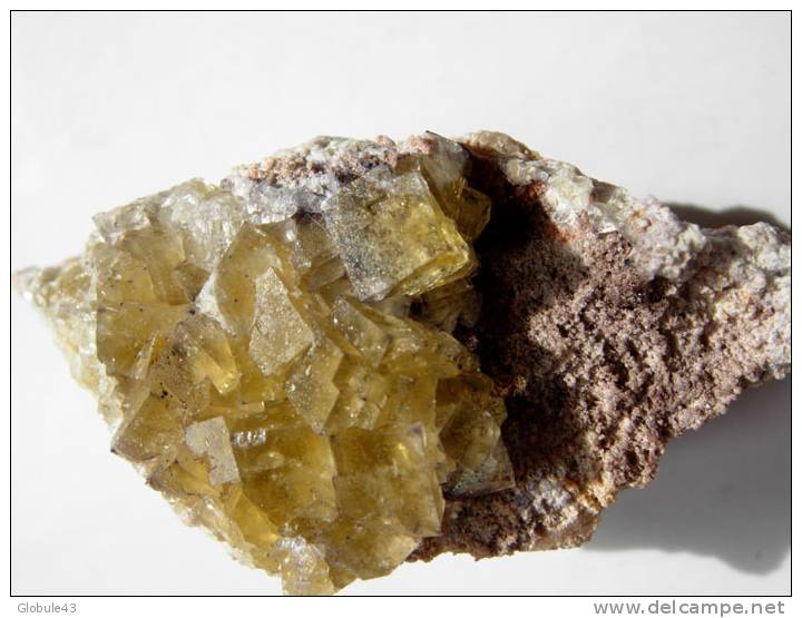 FLUORINE JAUNE SUR GANGUE 4 X 2,5 CM LANTIGNIE - Mineralien