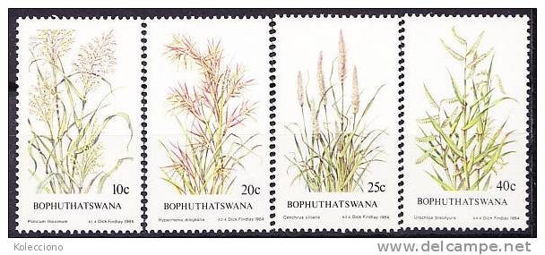 Bophutatswana 1984 Yv. 116-19 Flowers, Native Herbs (II) MNH - Bofutatsuana