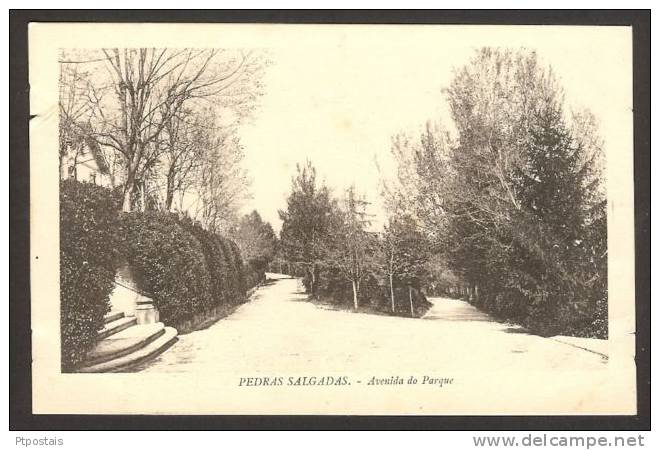 PEDRAS SALGADAS (Portugal) - Avenida Do Parque - Vila Real