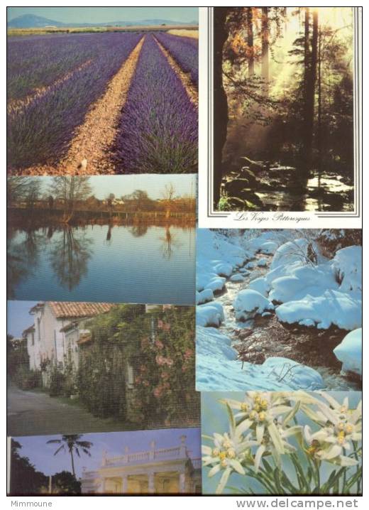 50 Cartes France - 5 - 99 Postcards