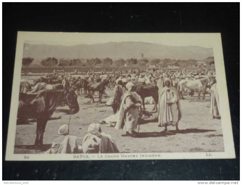 BATNA - LE GRAND MARCHE INDIGENE - CHEVEAUX - AFRIQUE ALGERIE - Batna