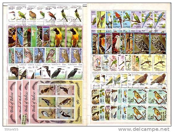 BIRDS -  Lot Of  40  Full Set - Used  (O) - Collections, Lots & Series