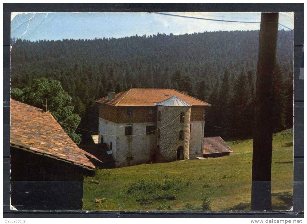 SAINT PRIEST LA PRUNE . Le Chateau Et Les Bois Noirs . Colonie Vacances SAINTE SUZANNE .  Voir Recto - Verso    (H173) - Other & Unclassified