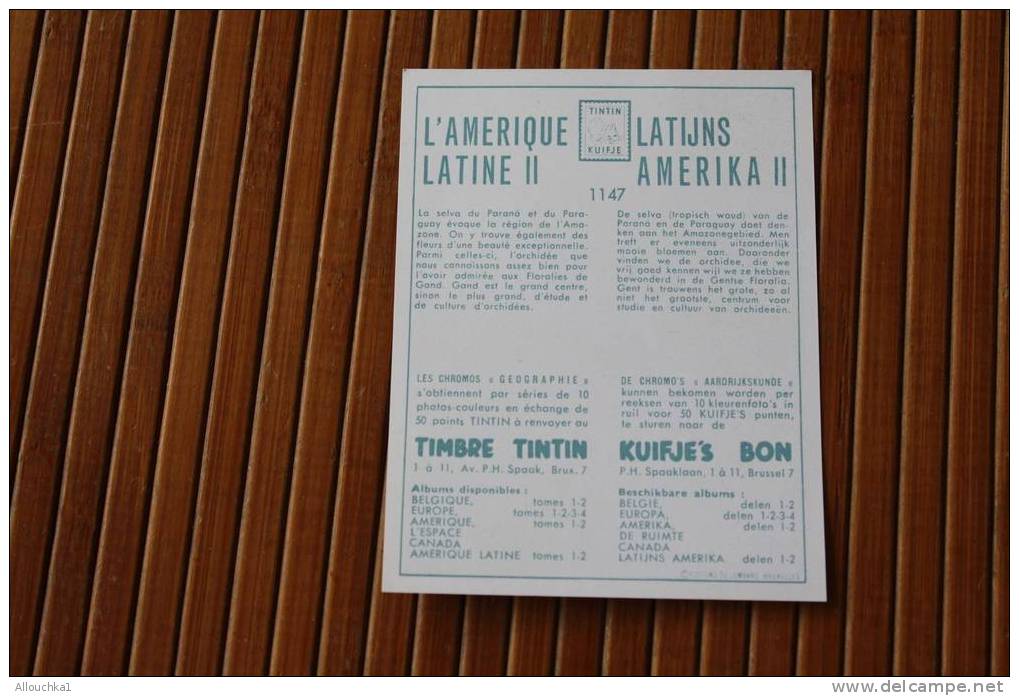 Tintin En  CHROMO & IMAGE COLLECTION TIMBRE KUIFJE'S BON TINTIN L'AMERIQUE LATINE II LATIJNS AMERIKA II - Collections