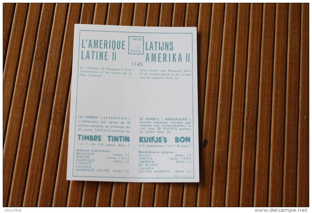 Tintin En  CHROMO & IMAGE COLLECTION TIMBRE KUIFJE'S BON TINTIN L'AMERIQUE LATINE II LATIJNS AMERIKA II - Sammlungen