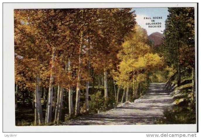 Fall Scene In Colorado Rockies, Colorado - Rocky Mountains