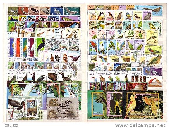 BIRDS ( Ucceli ) -  Lot Of  23  Full Set + 16 S/S (block) - Used  (O) - Collections, Lots & Series