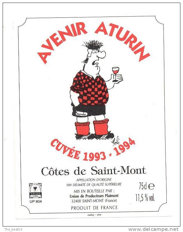 Etiquette De Vin Côtes De Saint Mont -  Cuvée  De L´Avenir  Aturin  1993-1994 - Atur (24) - Thème Foot Ball - Soccer