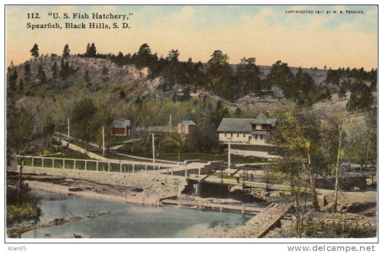 Spearfish South Dakota SD, US Fish Hatchery On C1910 Vintage Postcard - Autres & Non Classés