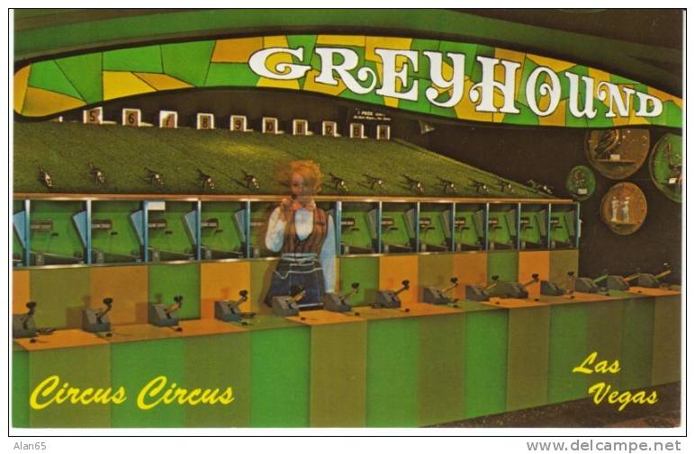 Las Vegas Nevada, Circus Circus Casino Greyhound Dog Race Gambling Game On C1960s Vintage Postcard - Las Vegas