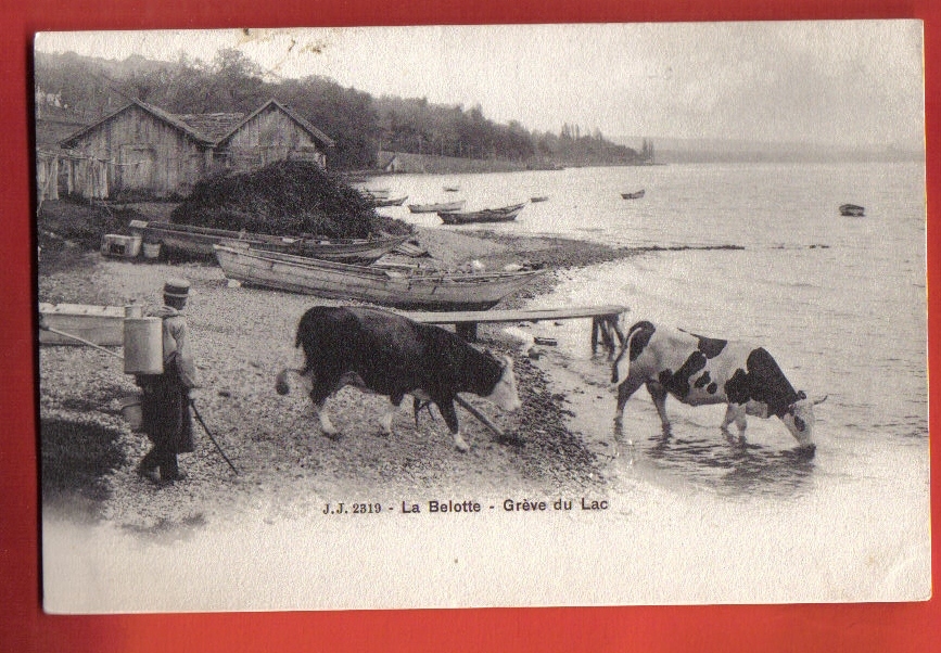 K062 Cologny, Port De La Belotte, Grève Du Lac,Paysan Et Vaches,boille à Lait,barques.Précurseur.Non Circ. Jullien 2319 - Cologny