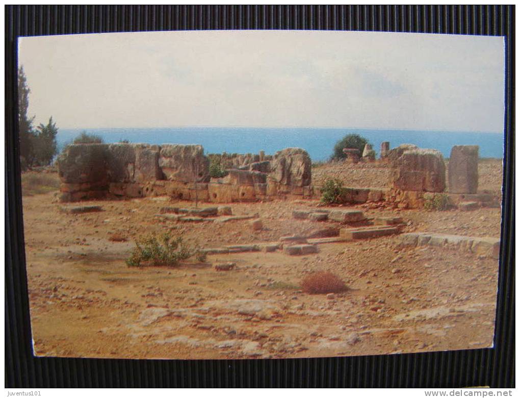 CPSM CHYPRE-Ruines Du Sanctuaire D'Aphrodite à Palaipaphos - Zypern