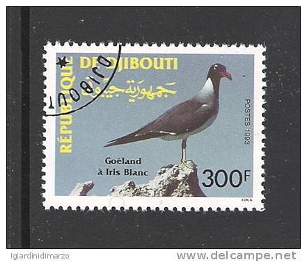 REPUBLIQUE DE DJIBOUTI - 1993 - Valore Obliterato Da 300 F. Dedicato Alla Fauna - GABBIANO - In Ottime Condizioni. - Seagulls