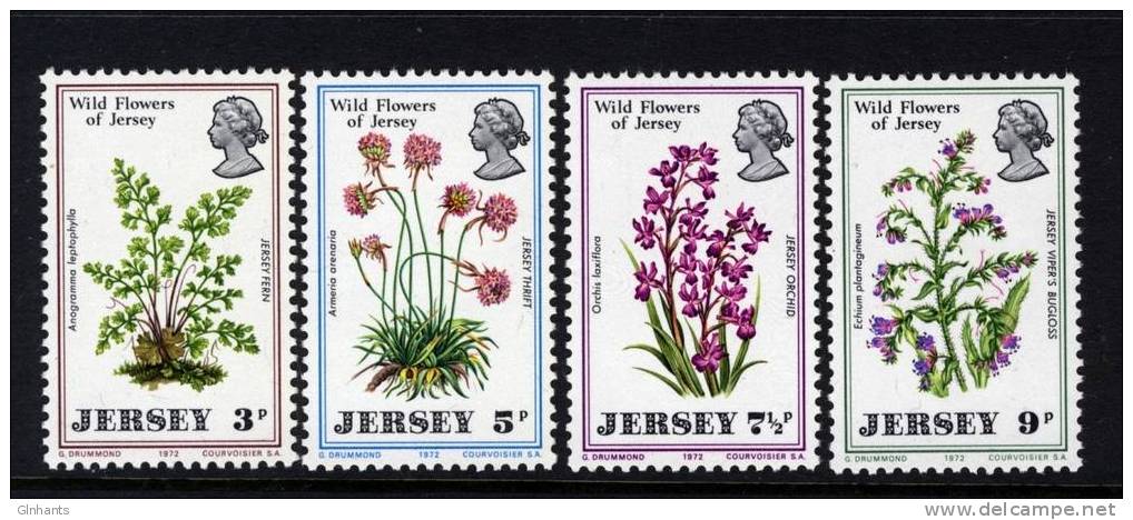 JERSEY - 1972 WILD FLOWER SET (4V) VERY FINE MNH ** - Other & Unclassified