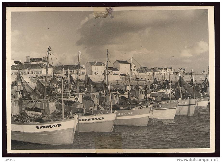 CPM  LA TURBALLE  Le Port   Bateaux De Pêche - La Turballe