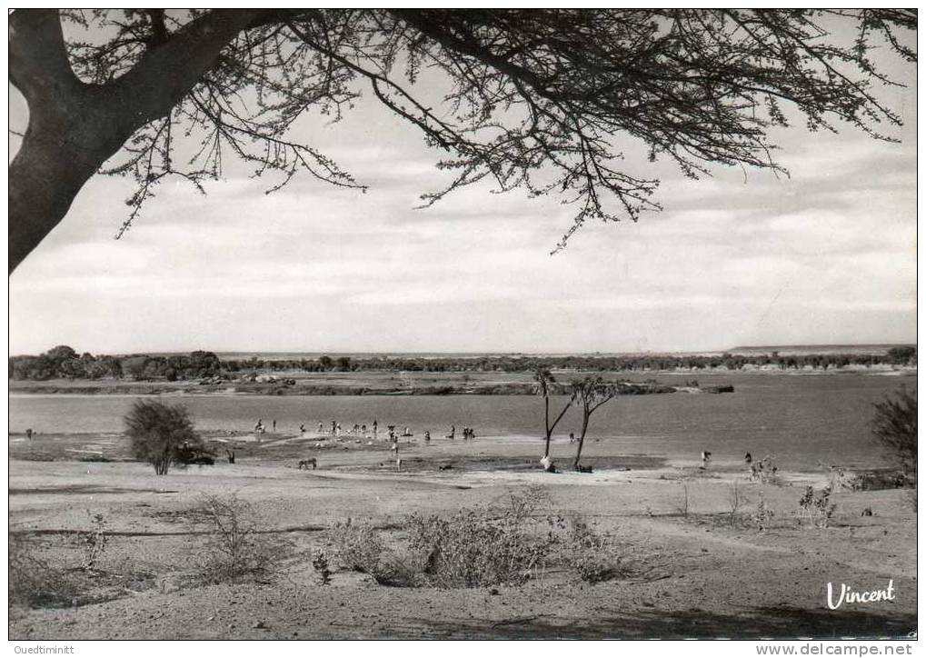 Niger , Niamey , Les Bords Du Fleuve. Cpsm Gd Format. - Niger