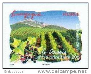 France 2009 - Vignobles Et Cassis De Bourgogne / Wineyards And Blackcurrant Of Burgundy - WNH - Fruits