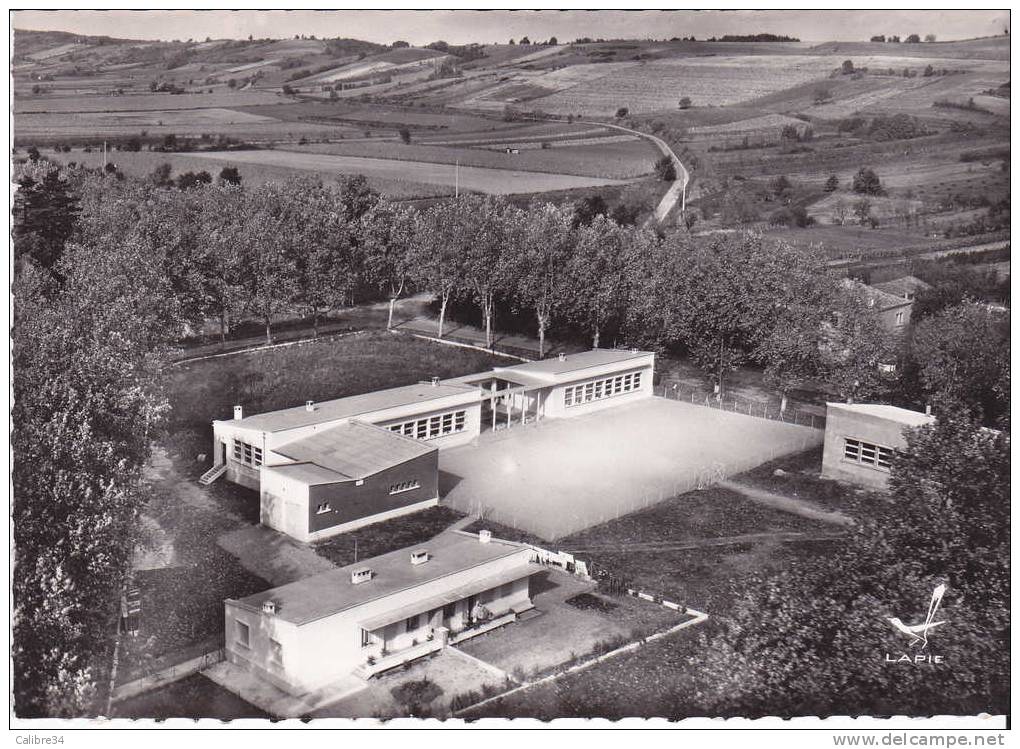 CPSM En Avion Au Dessus De VILLEBRUMIER  (Groupe Scolaire ?) - Villebrumier