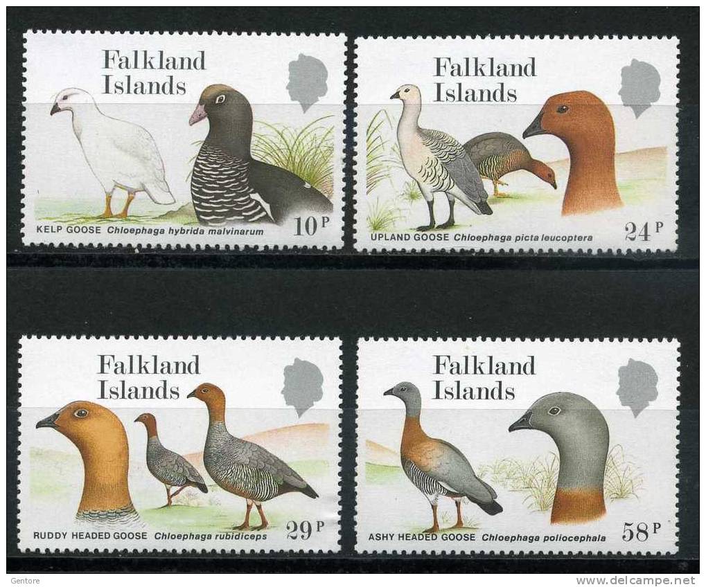 FALKLAND ISLAND 1988 Gooses  Cpl Set Of 4 Yvert Cat N° 492/95   Absolutely Perfect MNH ** - Gänsevögel