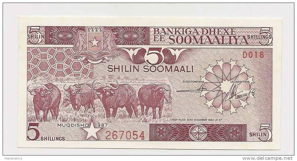 Somalia 5 Shillings 1987 - UNC - P.31c - Somalia