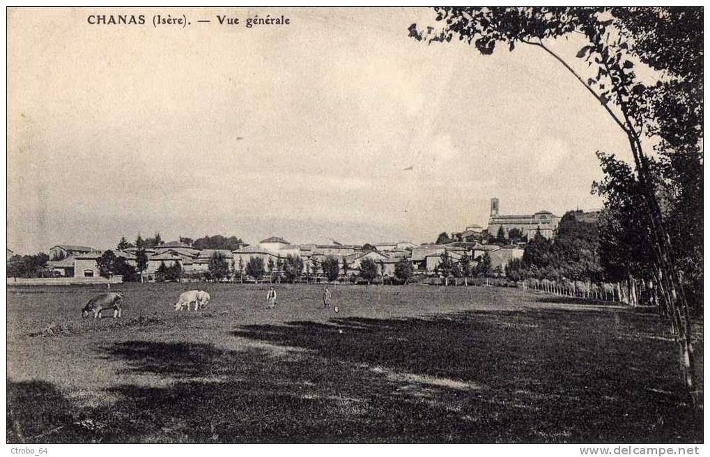 CPA CHANAS 38 - Vue Générale - Chanas