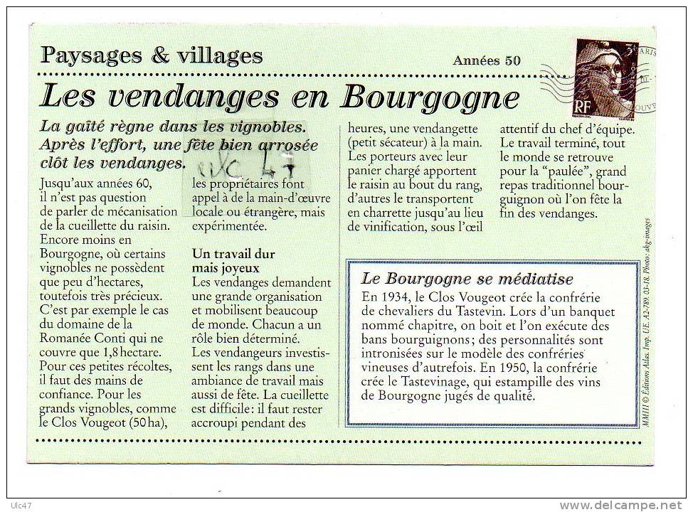 - 1955. SCENE DE VENDANGE EN BOURGOGNE. - Tbé - Scan Verso - - Bourgogne