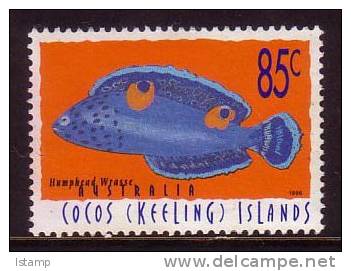 1995 - Cocos (keeling) Islands Marine Life 85c TWIN-SPOTTED WRASSE Stamp FU - Kokosinseln (Keeling Islands)