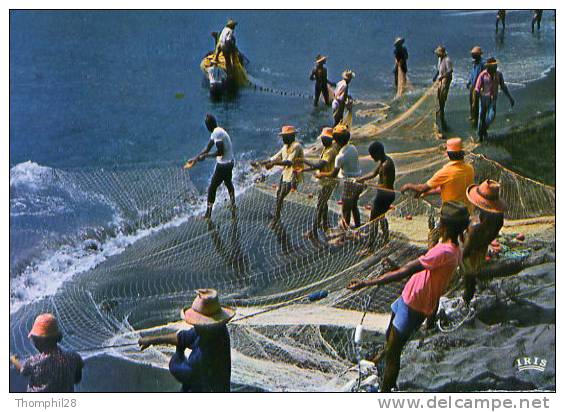 GUADELOUPE - Pêche à La "Seyne" - TBE, Carte Neuve - Pointe A Pitre