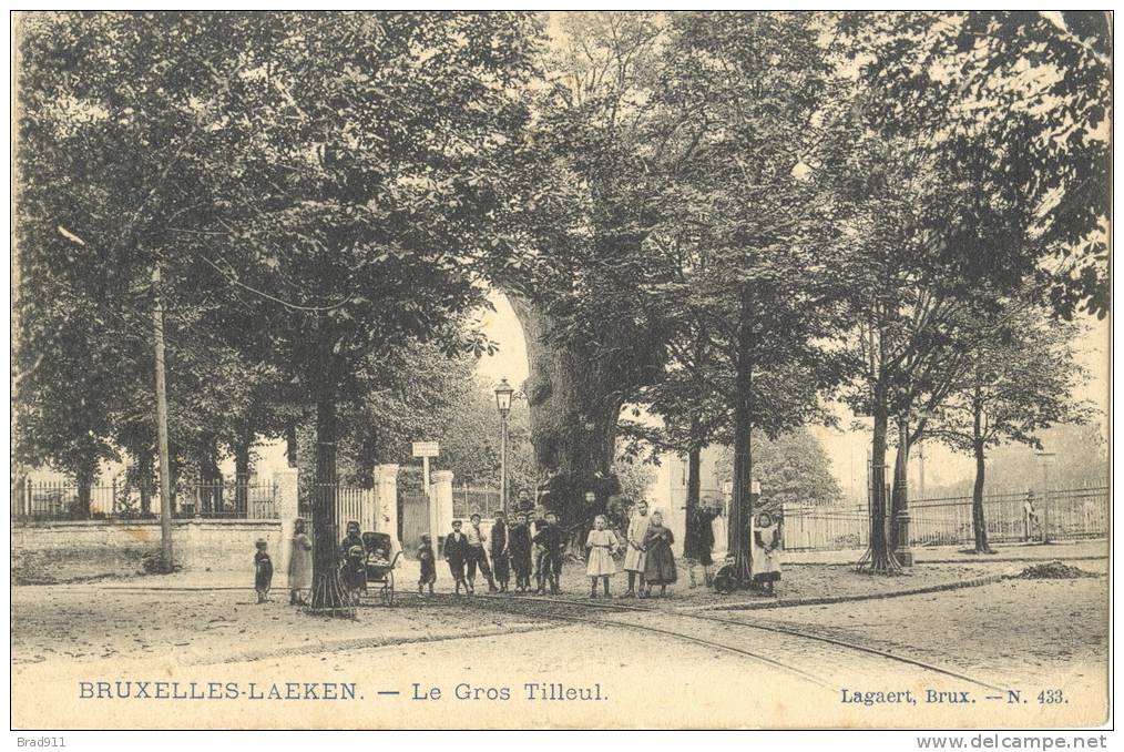 Laken Laeken: Le Gros Tilleul - Animée: Enfants SUPER - éd. Lagaert N° 433, +/- 1905 - Laeken
